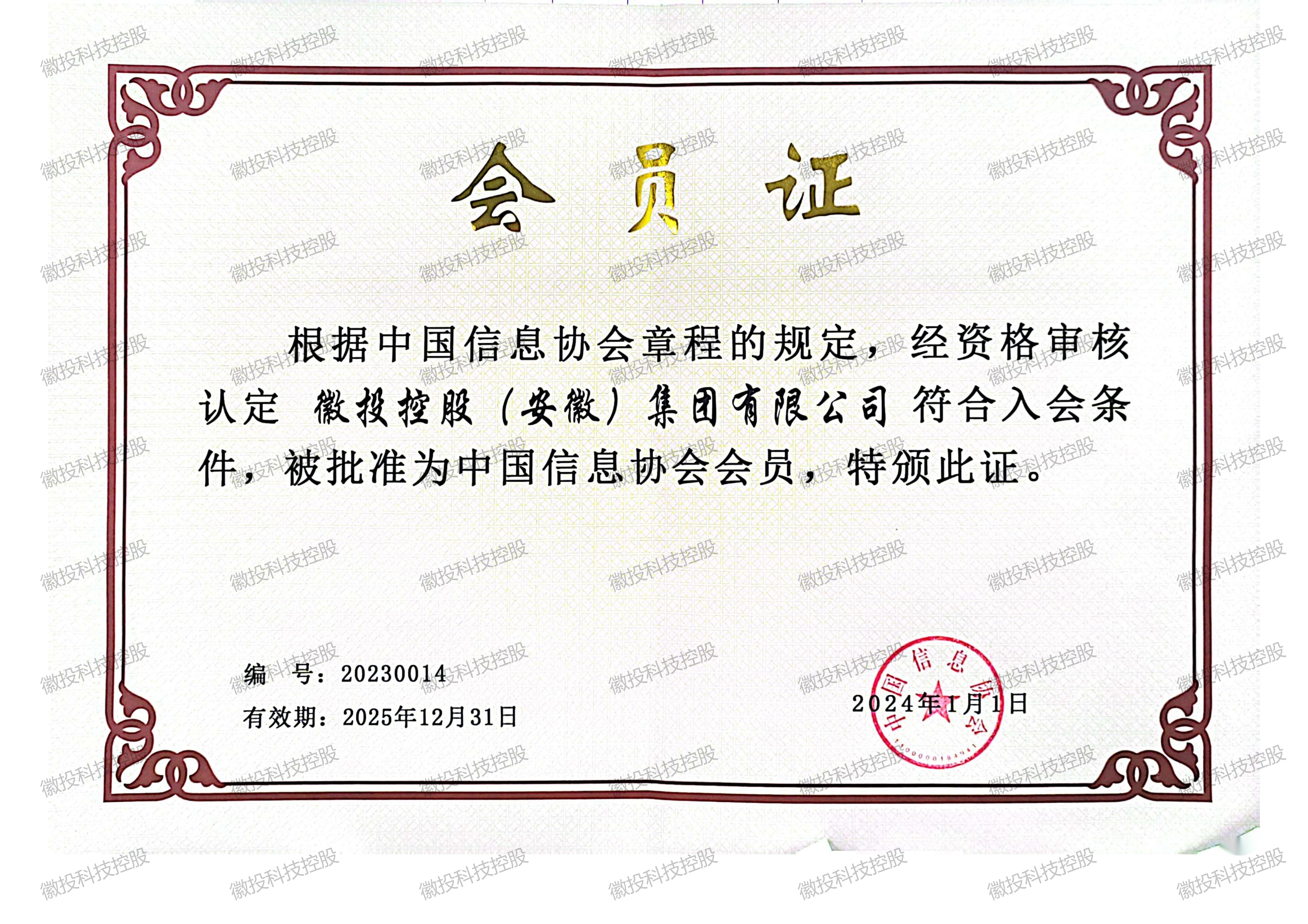        中国信息协会会员
